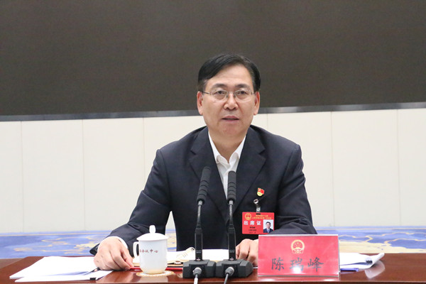 陈瑞峰参加城东区代表团联组审议